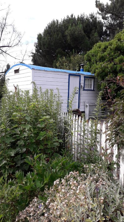 Western House B&B Kurow Esterno foto